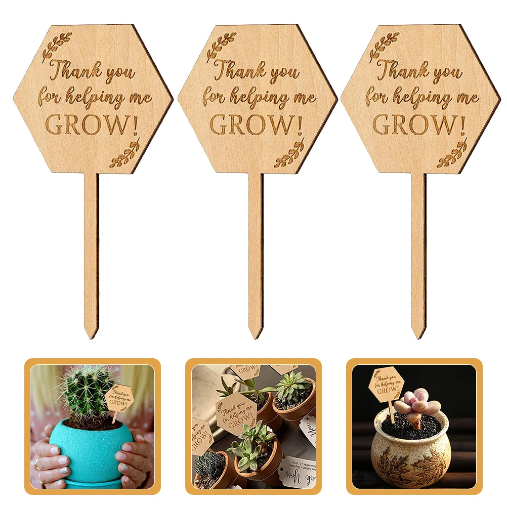 

20 Pcs Plant Succulent Card Garden Potted Sign Flower Wood Plants Tags Markers for