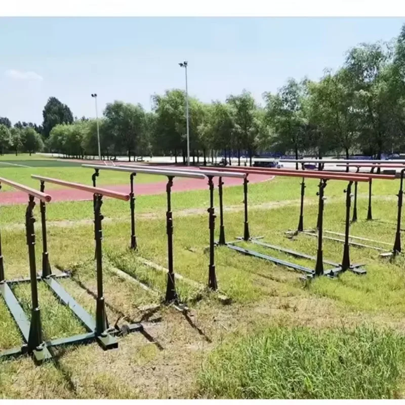 

Home Gym Professional Push-Up Stands - Parallel Dip Bars for Gymnastics & Strength Training Sessions