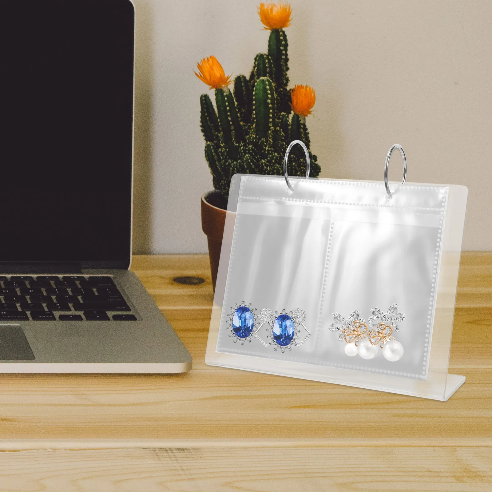 

Jewelry Storage Rack Clear Bags for Selling Photo Album Pvc Anti Tarnish Acrylic Earrings Organizing Travel