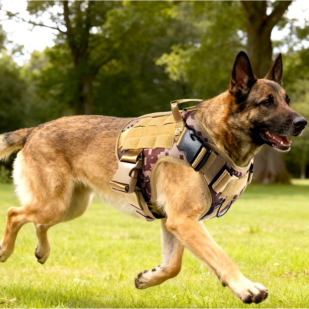 Thumbnail 2 - #28 Latest Dog Seat Belt Harness Offers