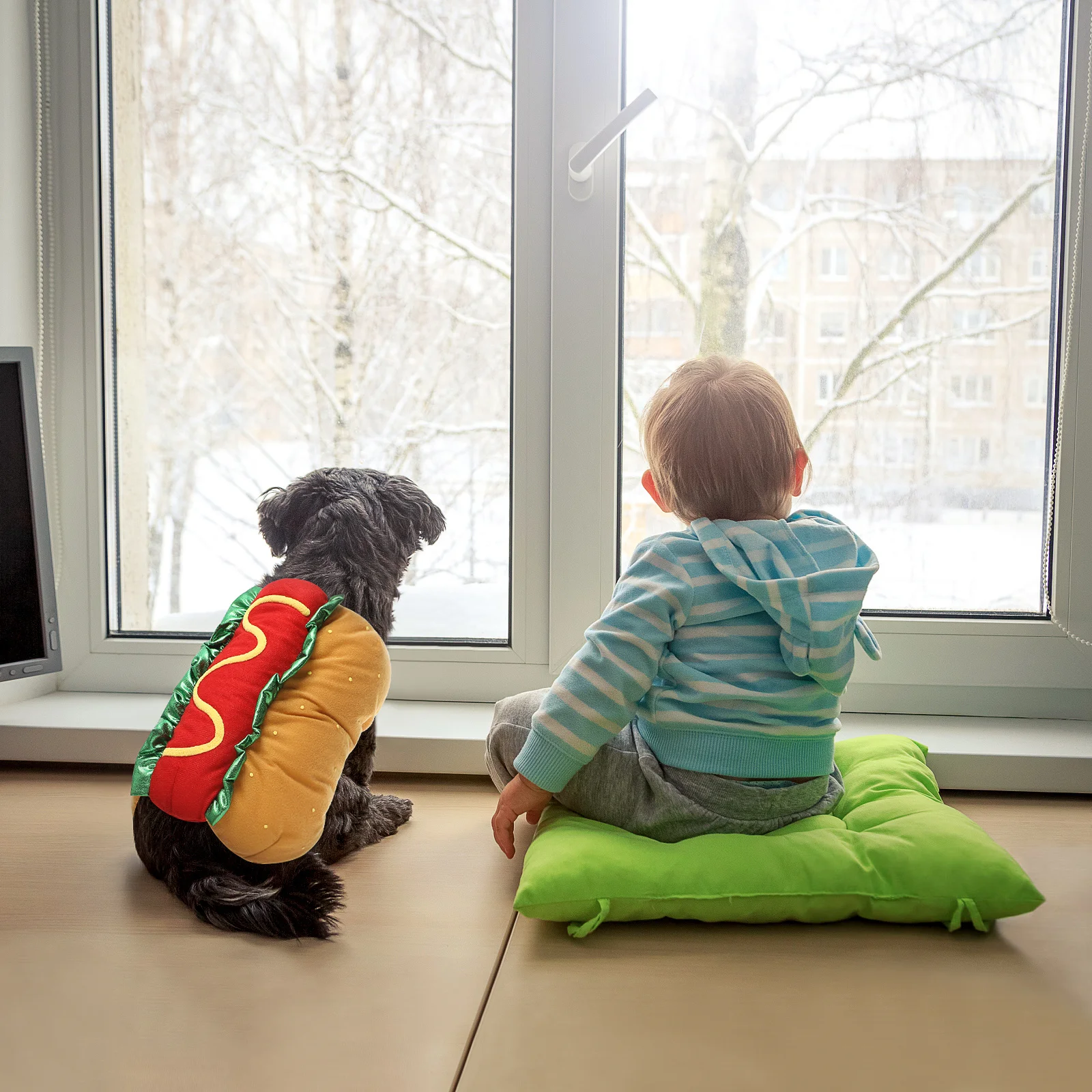 

Hot Dog Burger Transformation Costume For Pets Comfortable Hook Loop Closure Easy Wear Fun Cosplay Halloween Christmas Party Dog