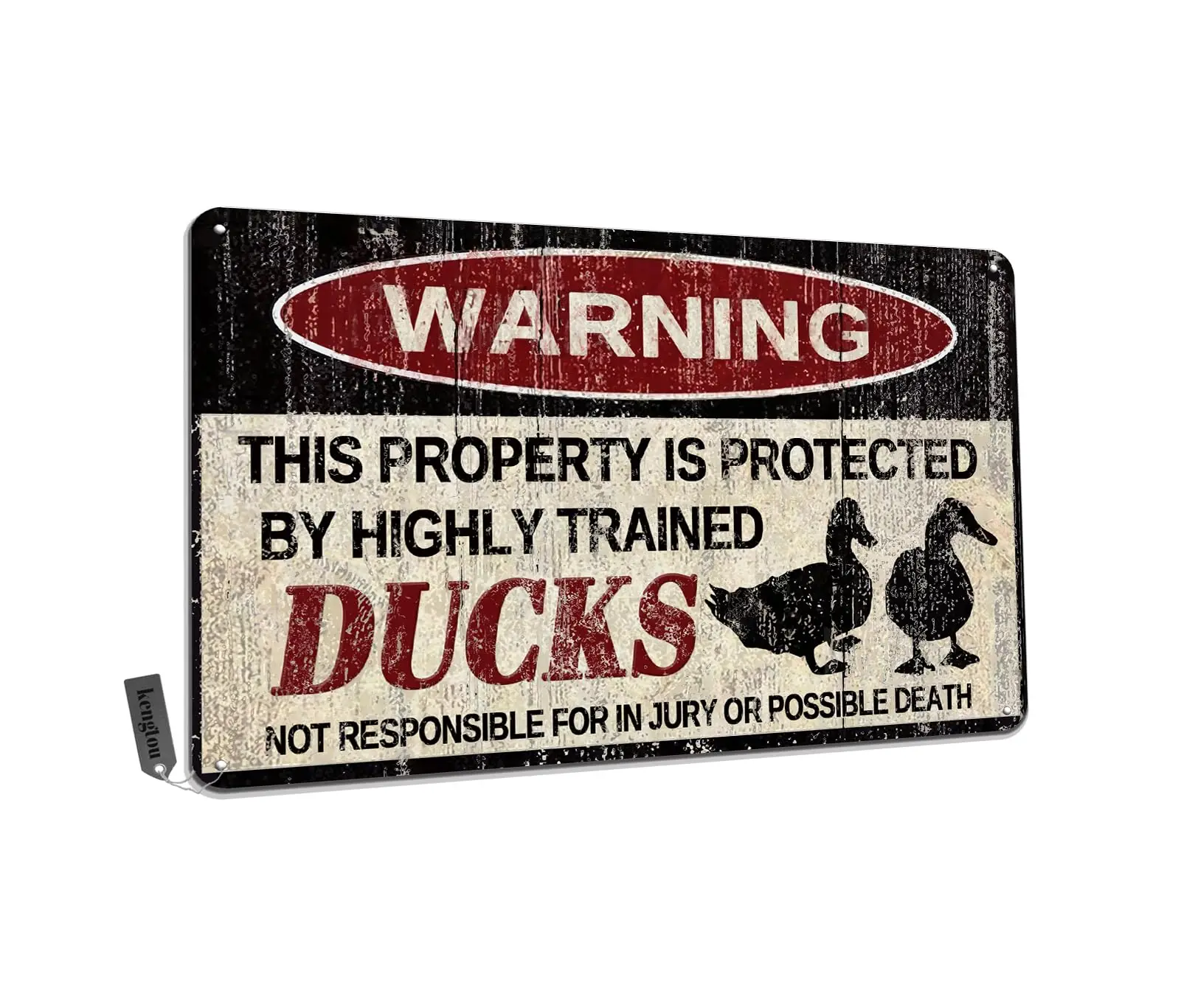 Ducks Tin Sign, Fun…