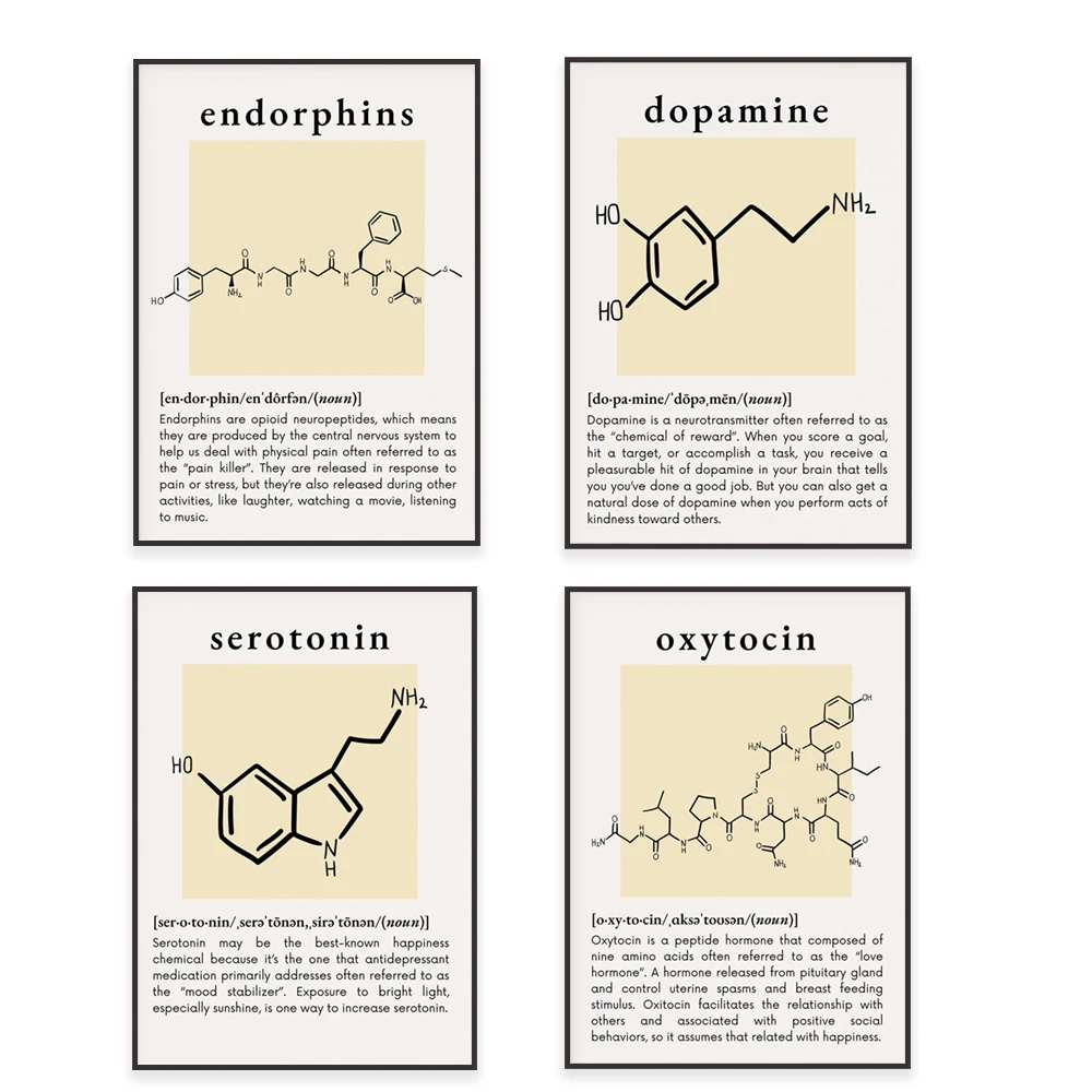Dopamine, serotonin, endorphins, happiness chemicals, mental health poster, counselor, psychiatrist treatment, office decoration