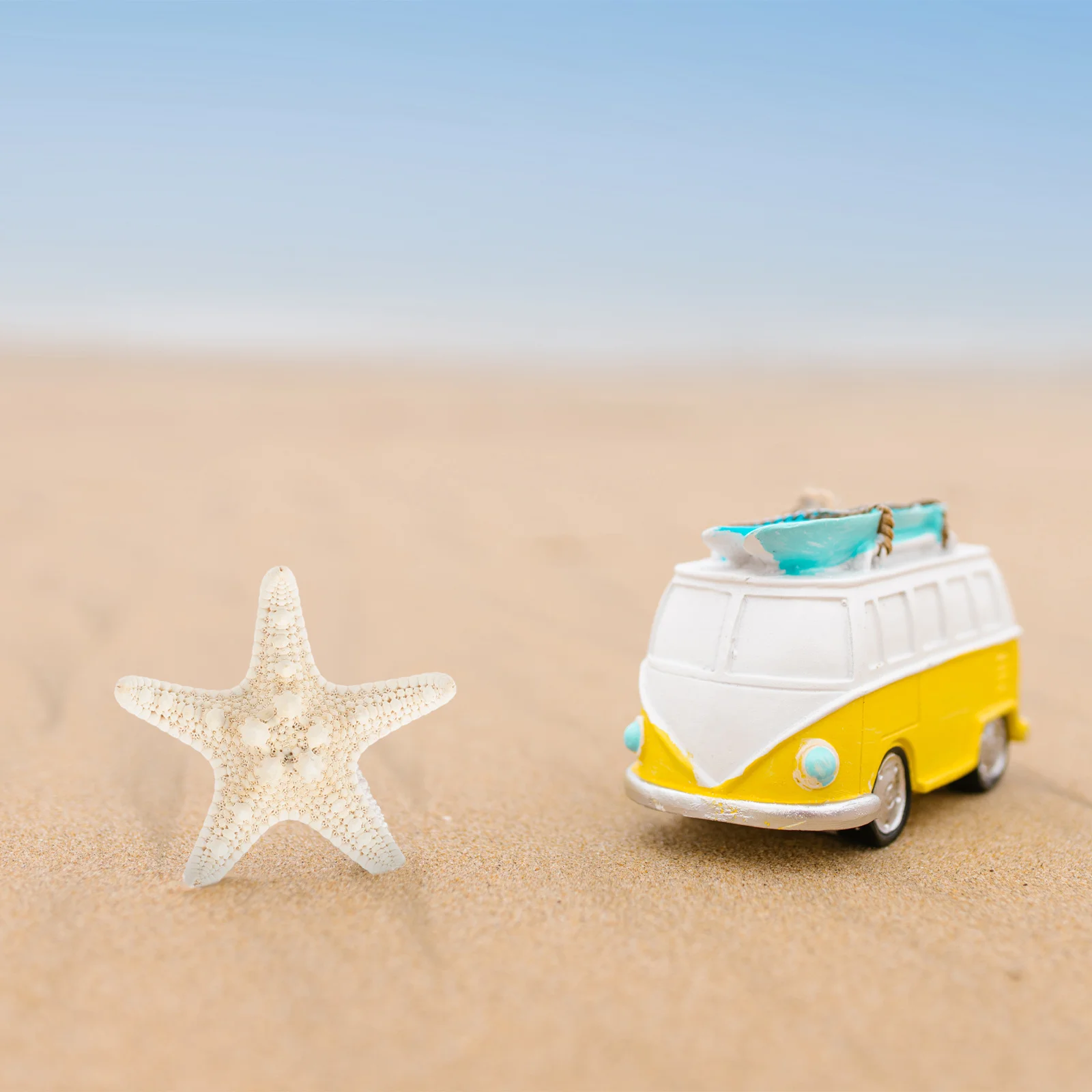 

2pcs Natural Sea Star Decor For Aquarium Fish Tank Diy Craft Vase Filling Ornament Beach Scene Layout Landscaping Adornment