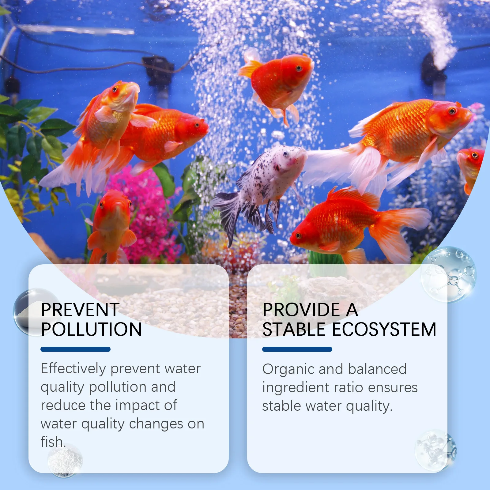 Aquarium-Algenentferner, Pulve – Aquarium Fish Diseases Bewertung und Preis