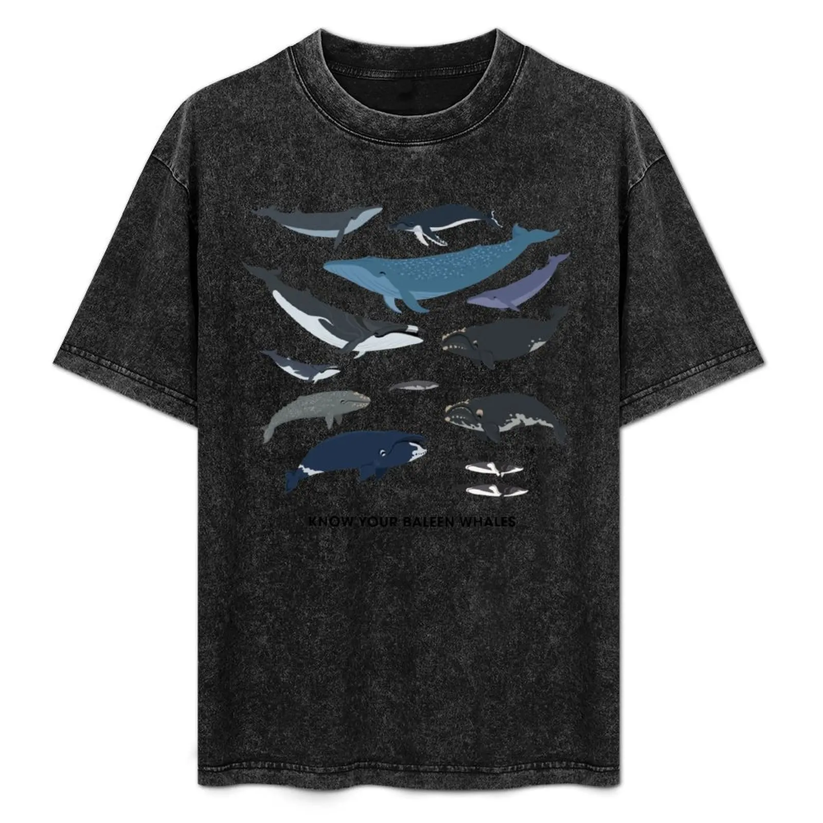 

Know Your Baleen Whales T-Shirt cotton t shirt man t shirts with prints men t shirt cotton 100% cotton tshirt 100% T-Shirt