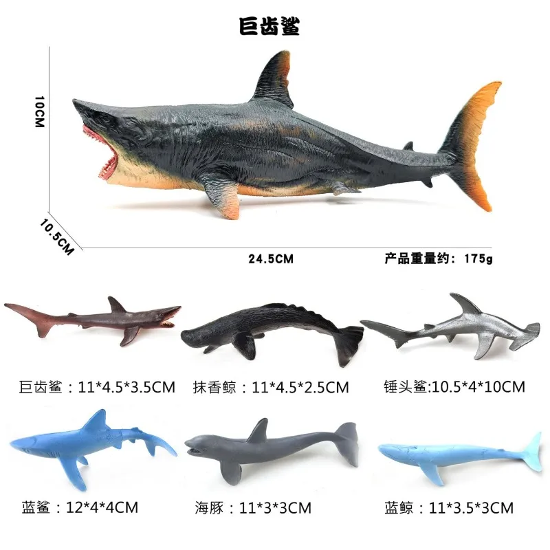 Marine Sea Life Classic Ocean Animals Megalodon Shark Action Figure Model Collection Toy For Kids Gift Educational Learning Gift
