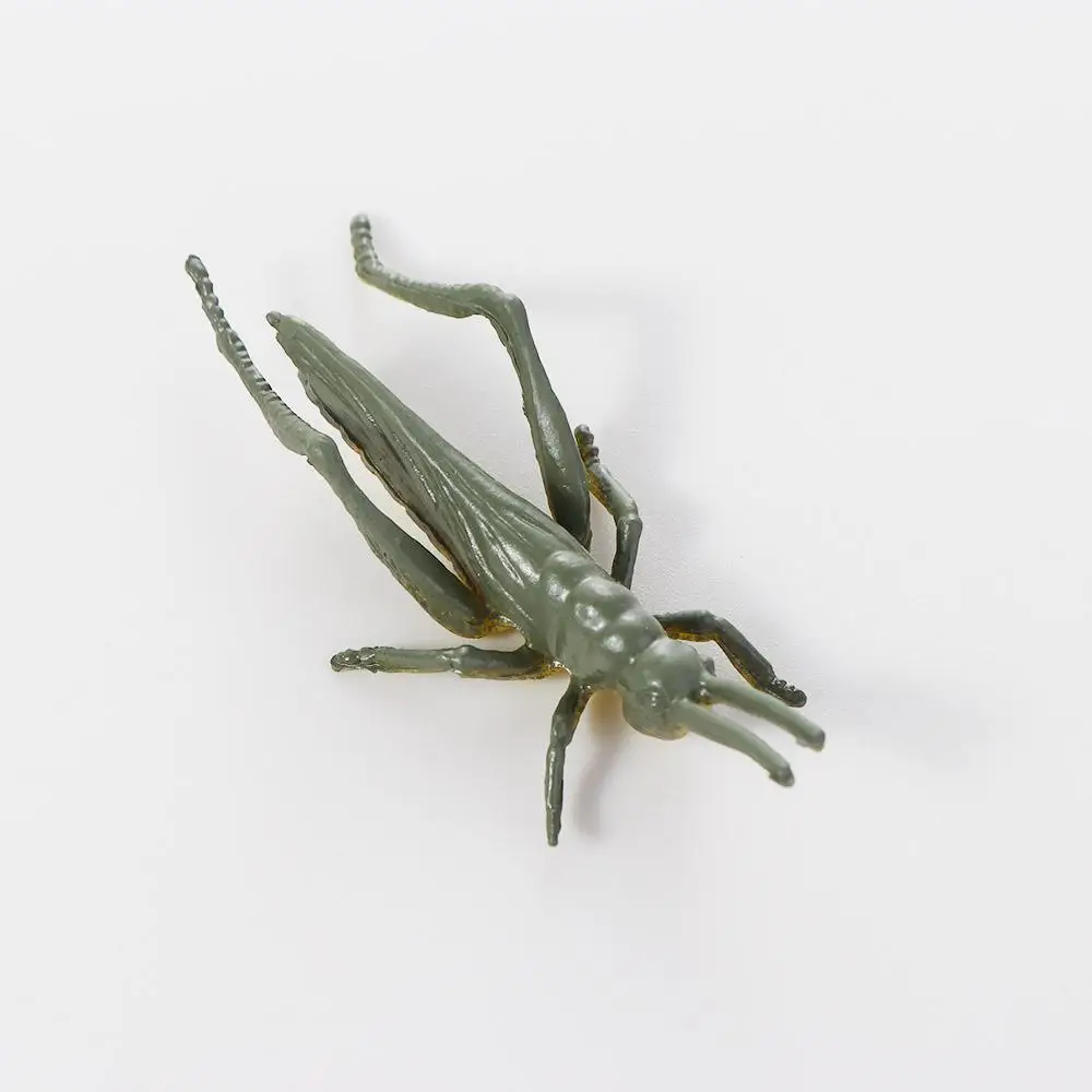 Toys 12Pcs/set Cockroach PVC Beetle Spider Figures Realistic Insect Figurine Insect Model Simulation Insect Animal Insect Toys