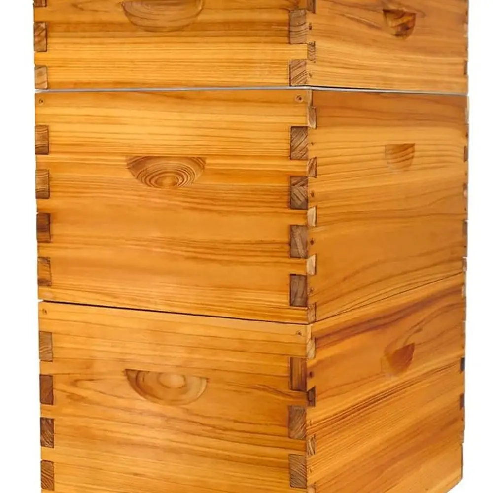 

8 Frame Bee Hive Kit, Langstroth Bee Hives Boxes Starter Kit for Beekeepers Dipped in Beeswax Includes 2 Deep Brood Box & 1 Medi