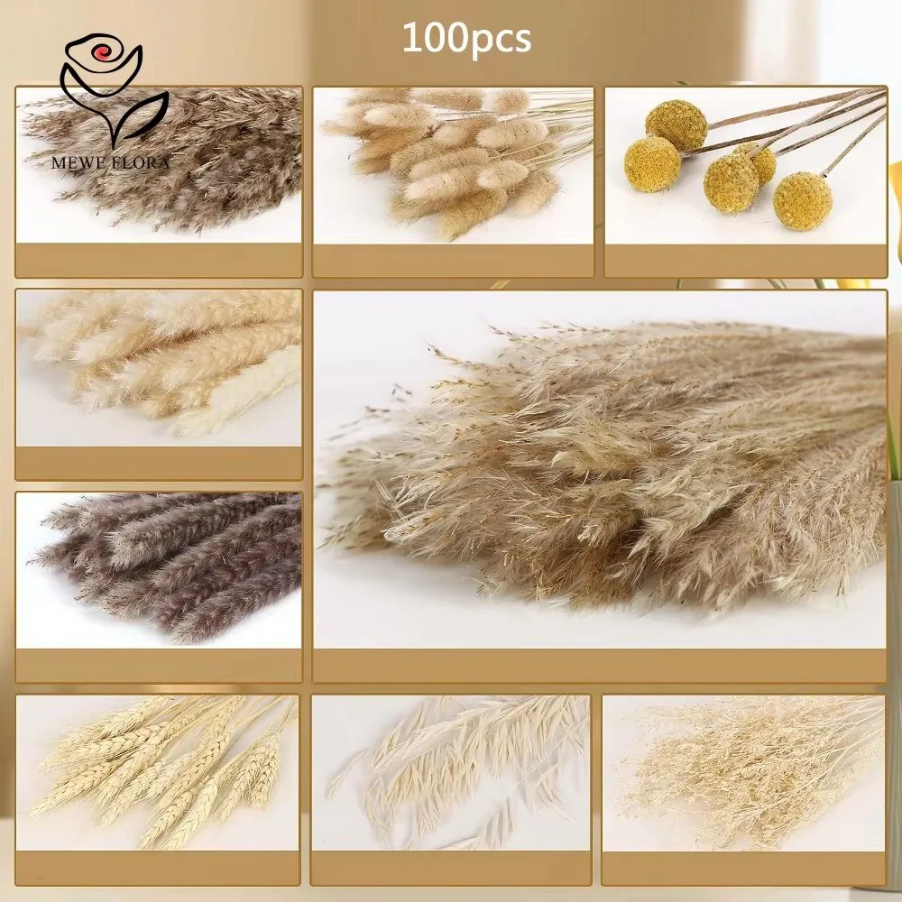 80pcs Natural Pampas Grass set di canne di grano Bouquet di fiori secchi Fluffy Bunny Tail Plants for Home Party Wedding Boho Decoration