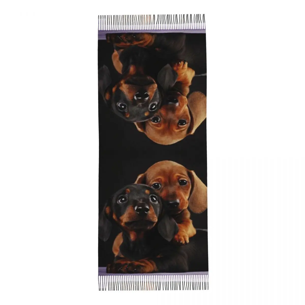 Custom Printed Cute Dachshund Dog Scarf Women Men Winter Warm Scarves Sausage Wiener Badger Shawls Wraps