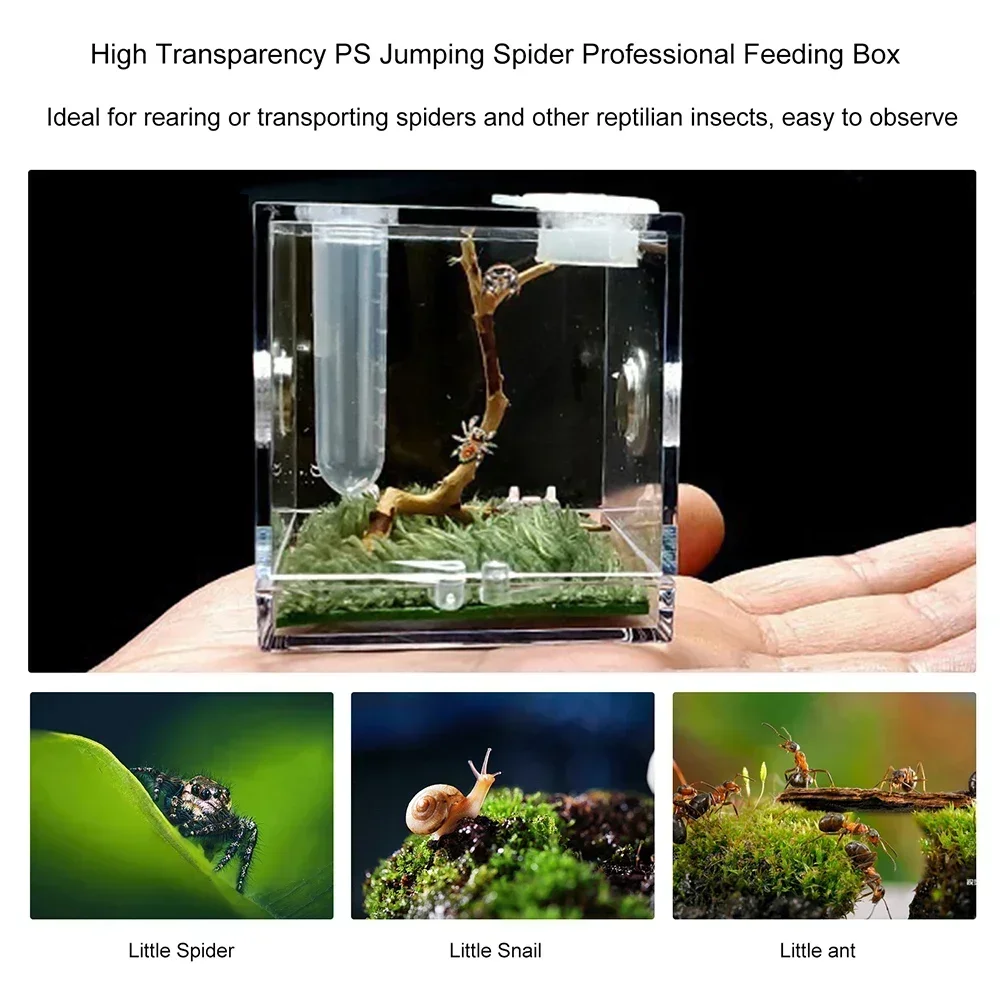 Small Reptile Feeding Box Transparent Acrylic Jumping Spider Breeding Box Habitat Small Insect Container Humidifier Feeding Port