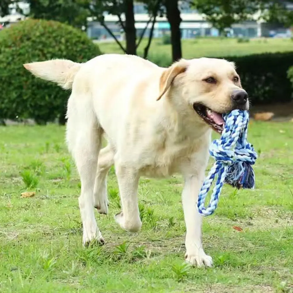 Hanging Pet Toy Dog Cotton Rope Toy for Bite-resistant Teeth Anxiety Relief Soft Fabric Pet Toy for Training Tug of War Soft