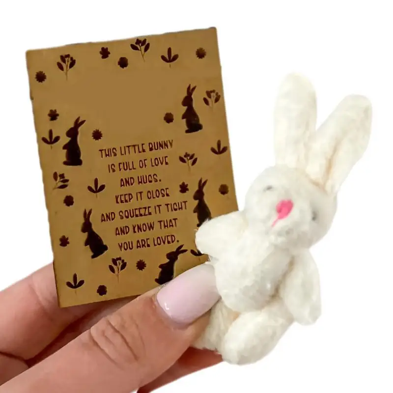 

Easter Bunny Stuffed Animal Small Candy Card Cartoon Bunny Party Favors Funny Easter Postcards For Family Friends Teenagers And