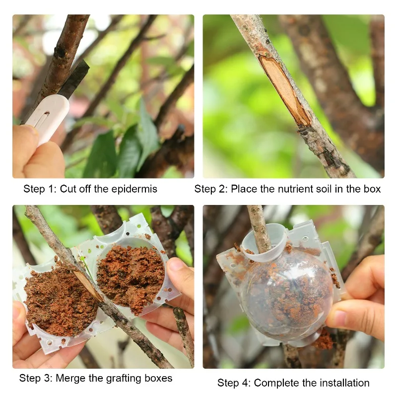 30/5x Plant Root Growing Box Root High-pressure Propagation Ball Set for Fast Propagation Grafting Tools for Plant Cuttings
