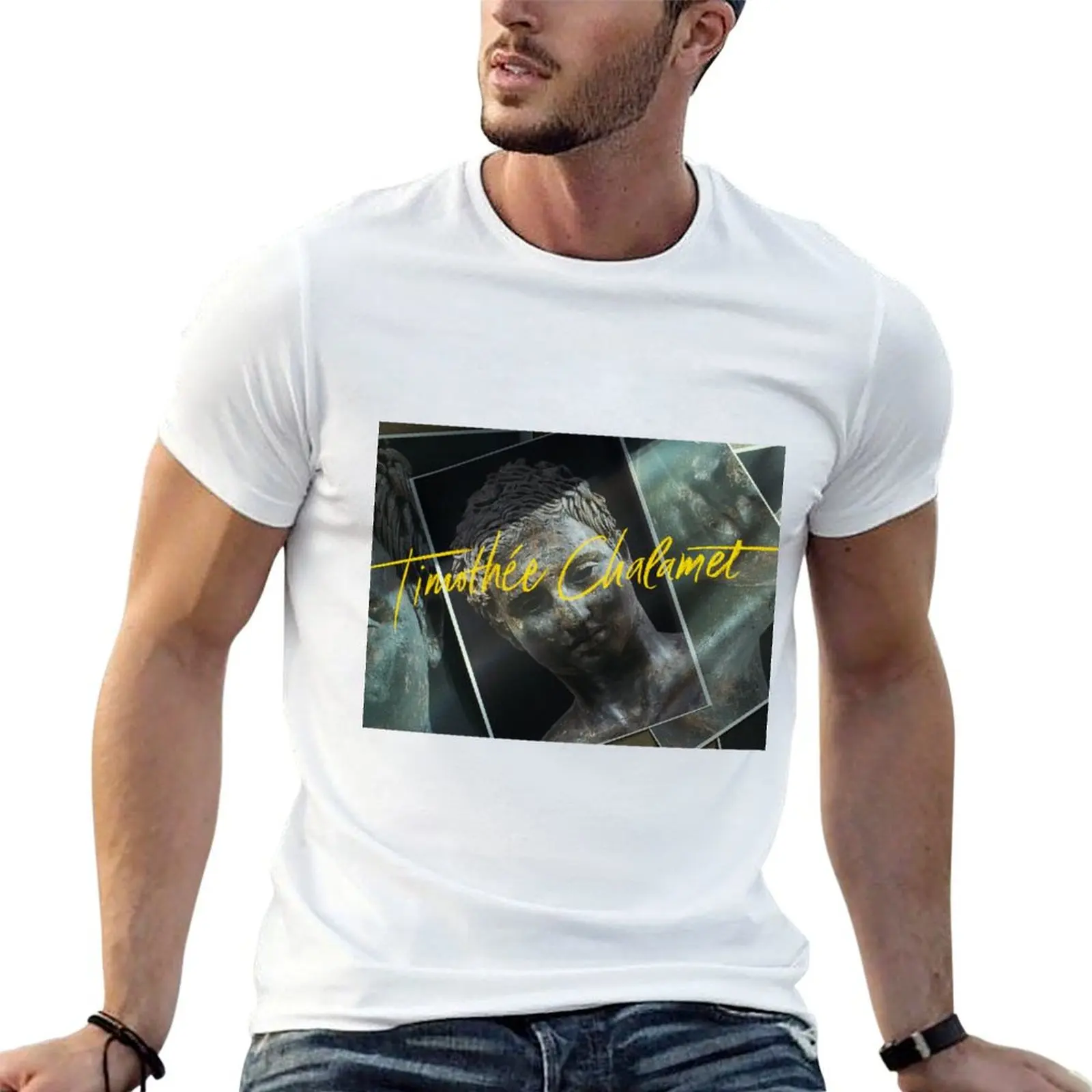 Call Me by Your Name Credits 5 T-Shirt kawaii clothes man clothes plain t shirts men