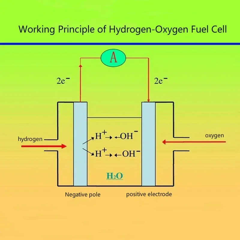 Proton membrane hydrogen fuel cell, teaching instrument.