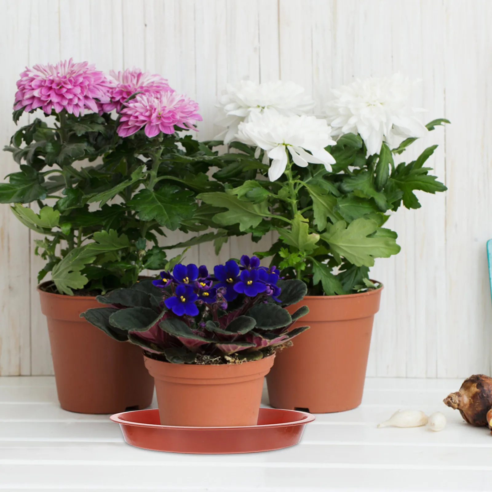 30Pcs Flowerpot Water Trays Round Plant Pot Drainage Saucers for Indoor Outdoor Balcony Garden Bonsai Succulent Potted Plants