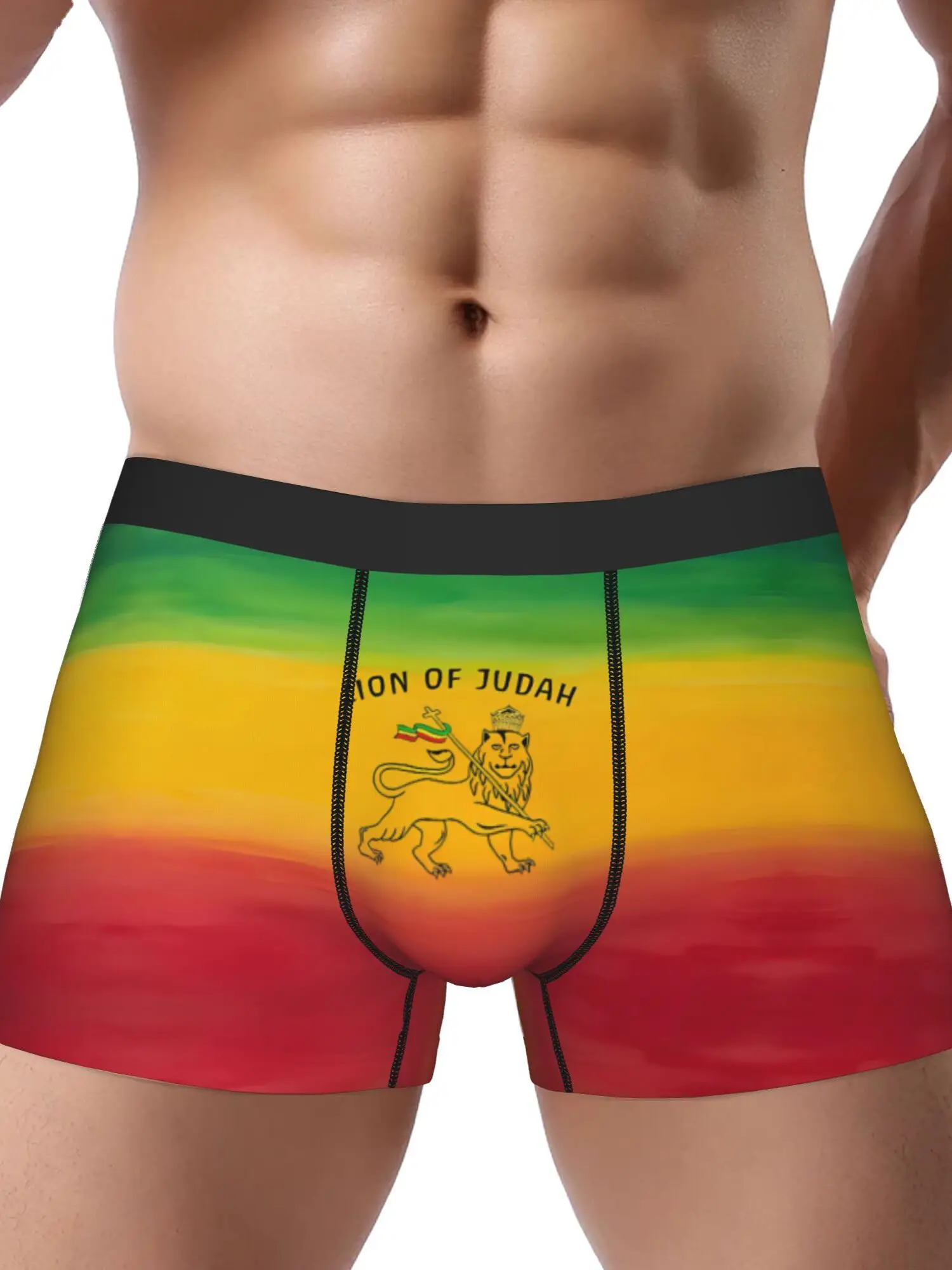 Briefs Featuring The Rasta Lion of Judah Design Flag Pattern Boxer for Men Teens Print Breathable Print Boxershorts Men
