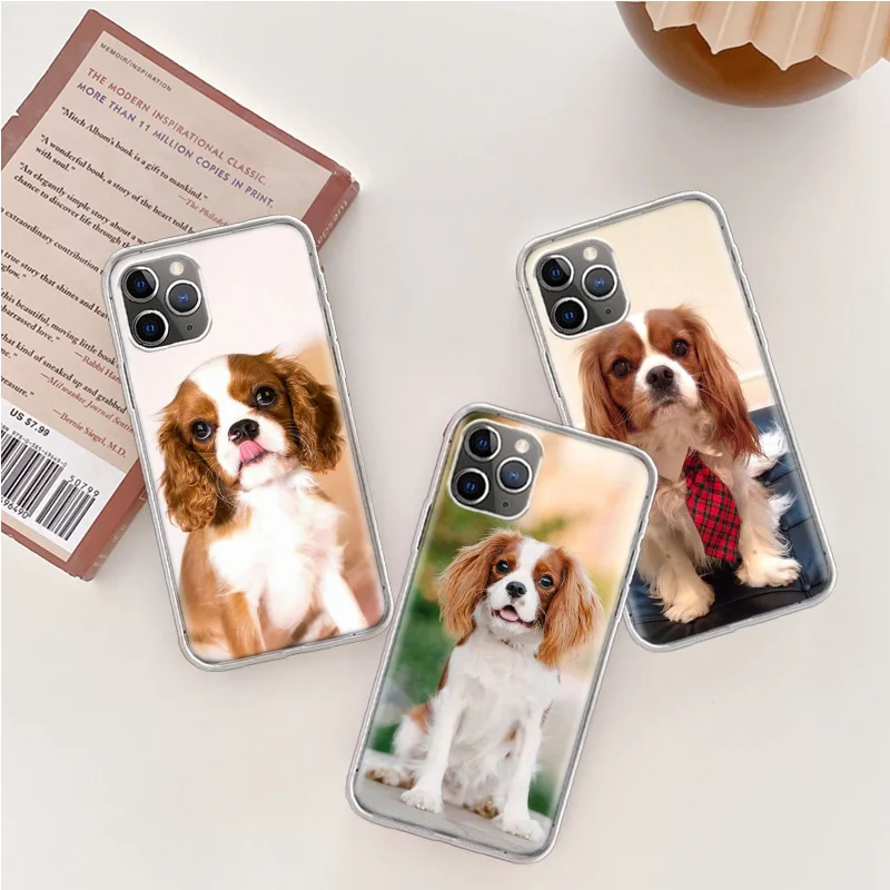 Cavalier King Charles Spaniel Dog Phone Case For Iphone 14 13 15 Pro Max Apple 11 12 Mini X XS XR 16 Plus 6 6S 5 5S Cle