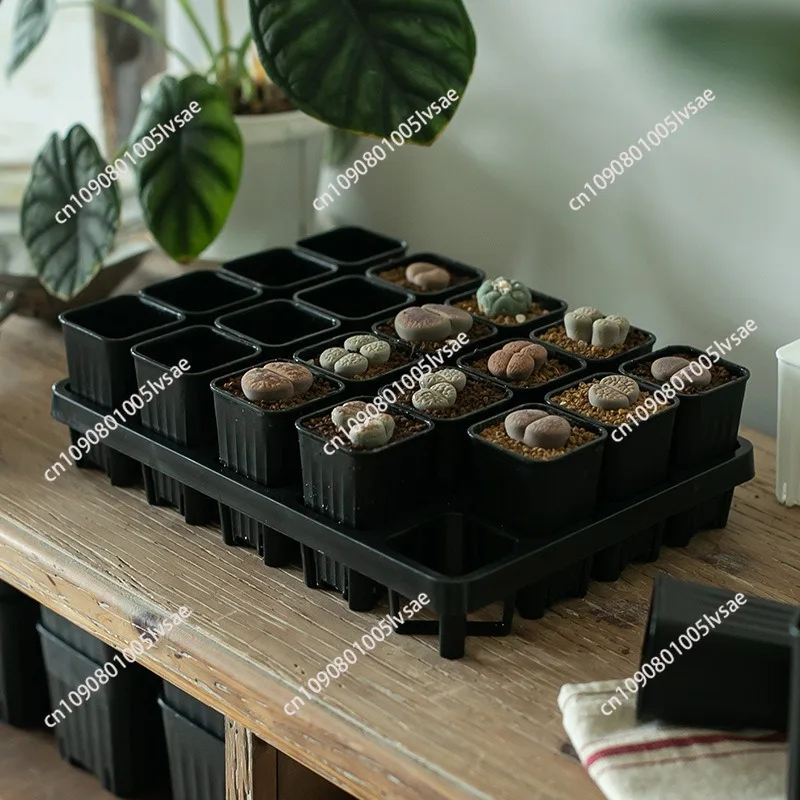 Plastic flower pot tray tray succulent thickened small black square water tray leaf insertion seedling