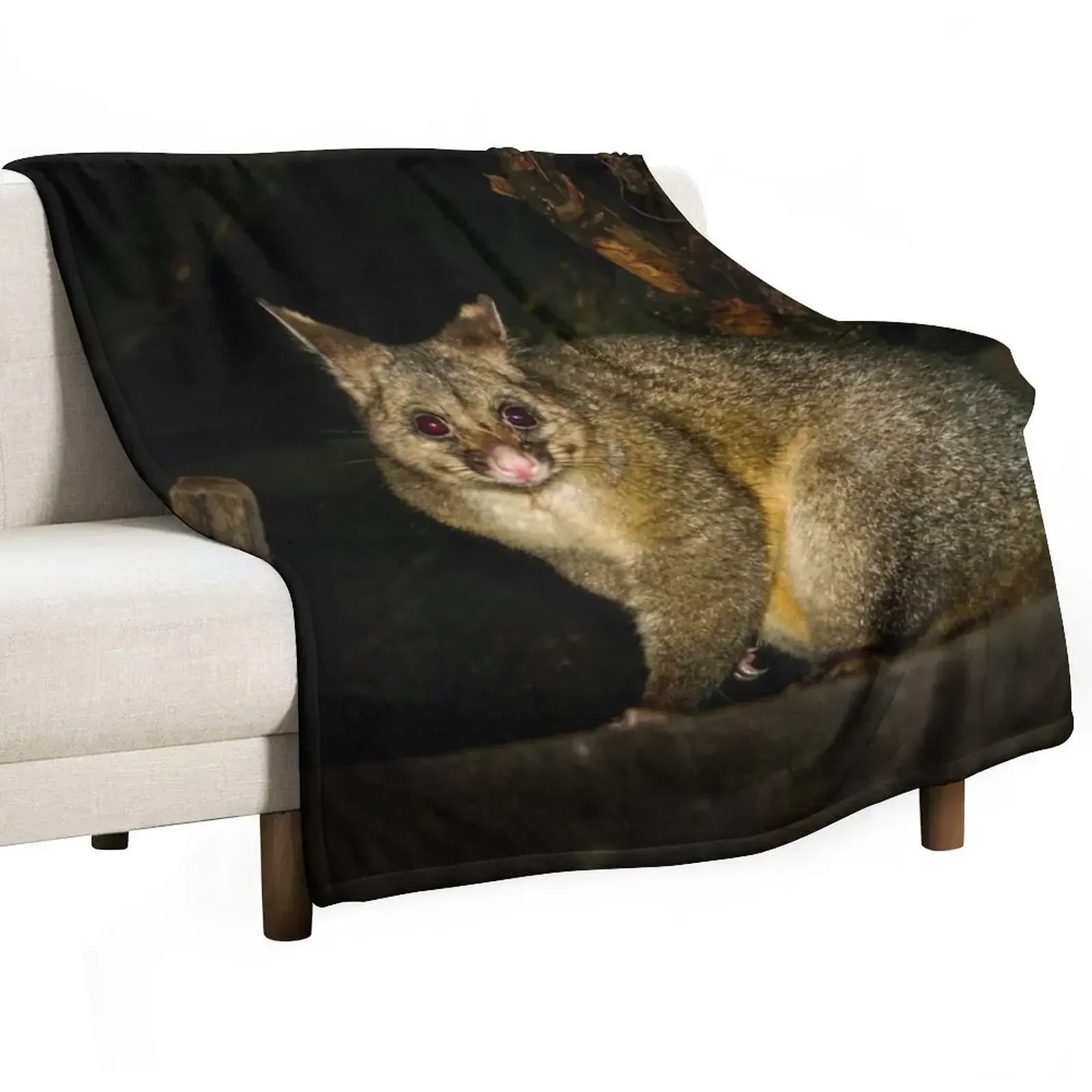 Australian Bushtail possum at night Throw Blanket Cute christmas gifts Personalized Gift for sofa Blankets