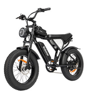 Ridstar Q20 Mini Electric Bike 1000W Motor 48V 15AH Battery 20*4.0 Inch Wide Tire Electric Bike LCD Display Adult Electric Bike