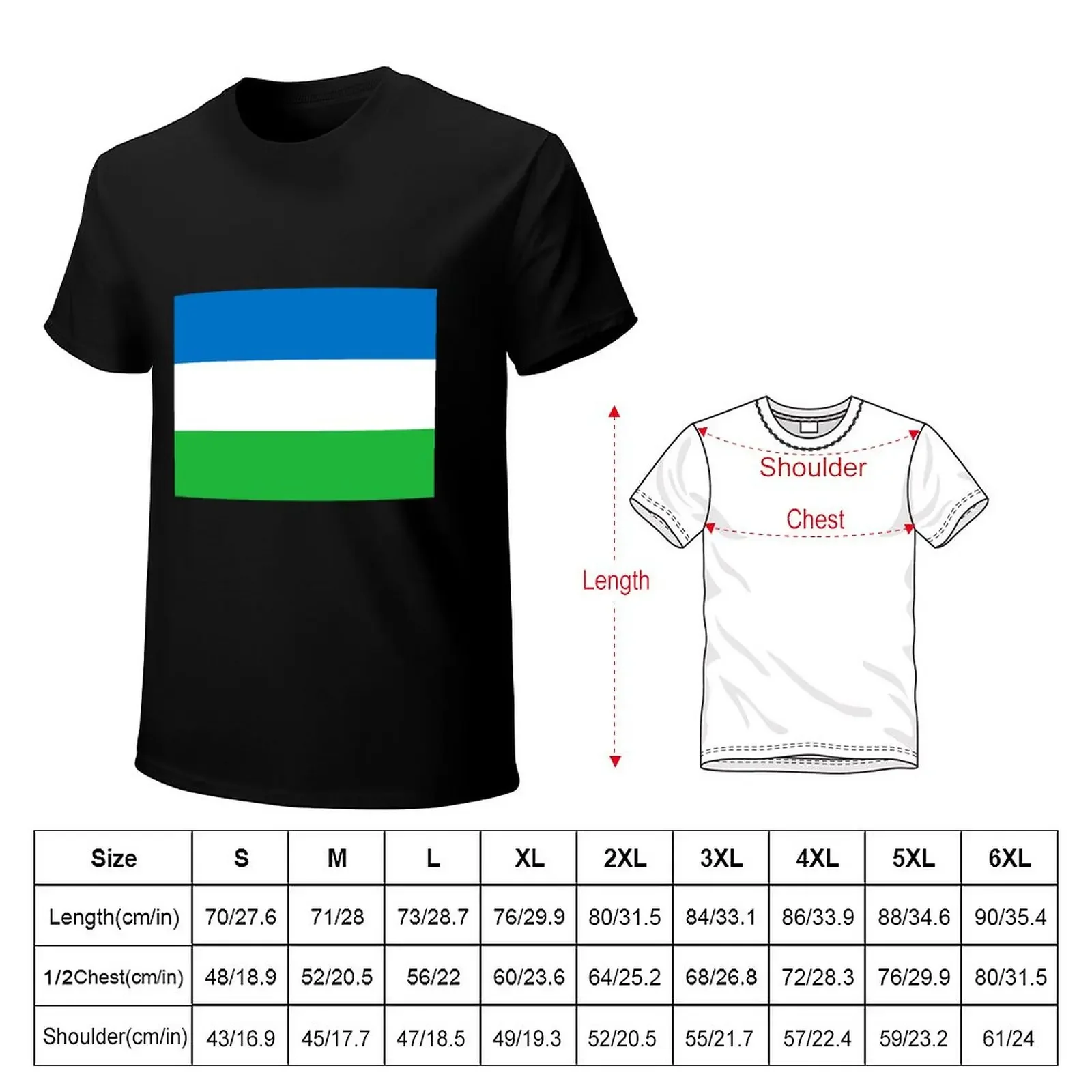 Flag of The Republic of Molossia T-Shirt blacks Blouse men t shirt