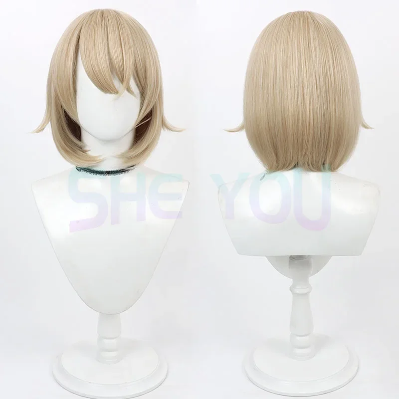 Falin Touden Cosplay Wig Anime Laios Touden Mithrun Izutsumi Short Gray/Black Heat Resistant Synthetic Hair Wigs Wig Cap