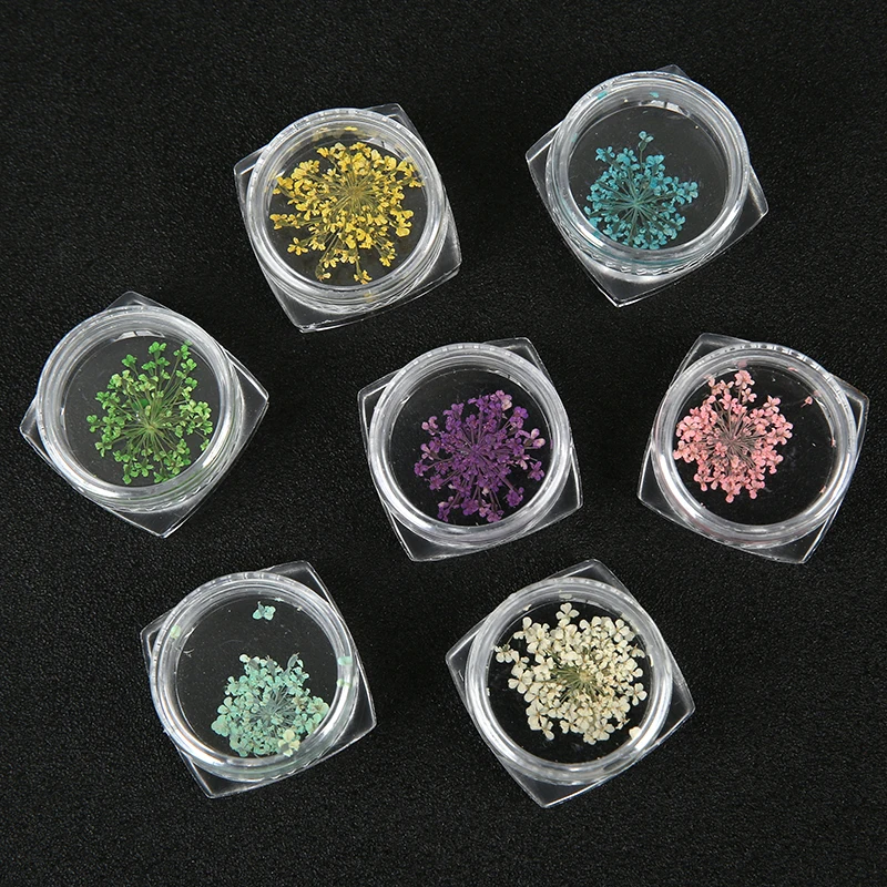 2 قطعة/صندوق لون عشوائي الطبيعية المجففة زهرة ليف الراتنج لوازم حشوات زهرة لمسمار سكرابوكينغ الديكور صنع المجوهرات