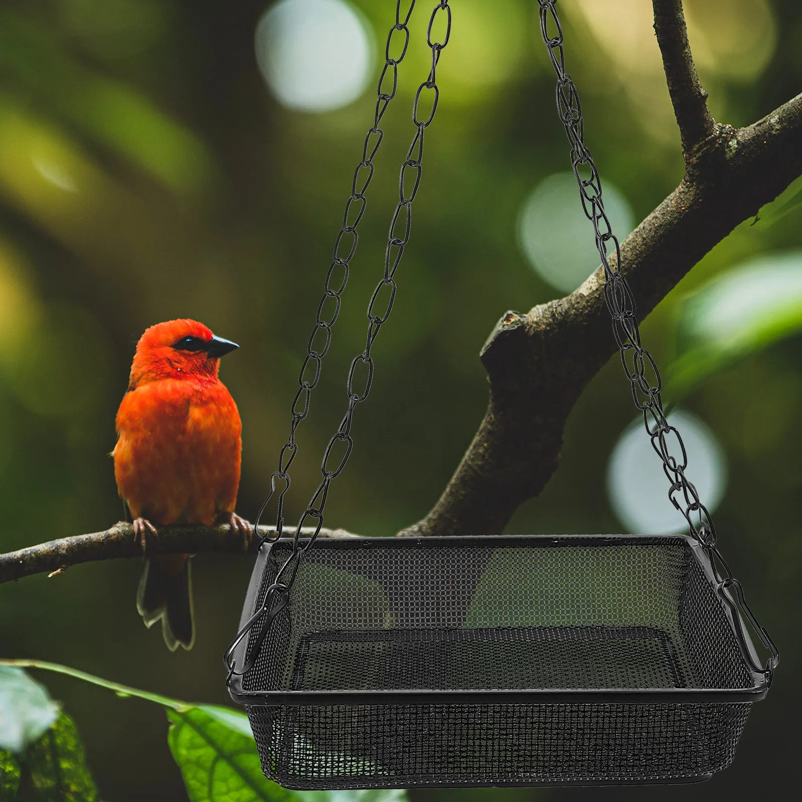 Single Layer Feeder Hanging Square Tray for Outdoor Garden Balcony Patio Weather Resistant Bird Feeding Station