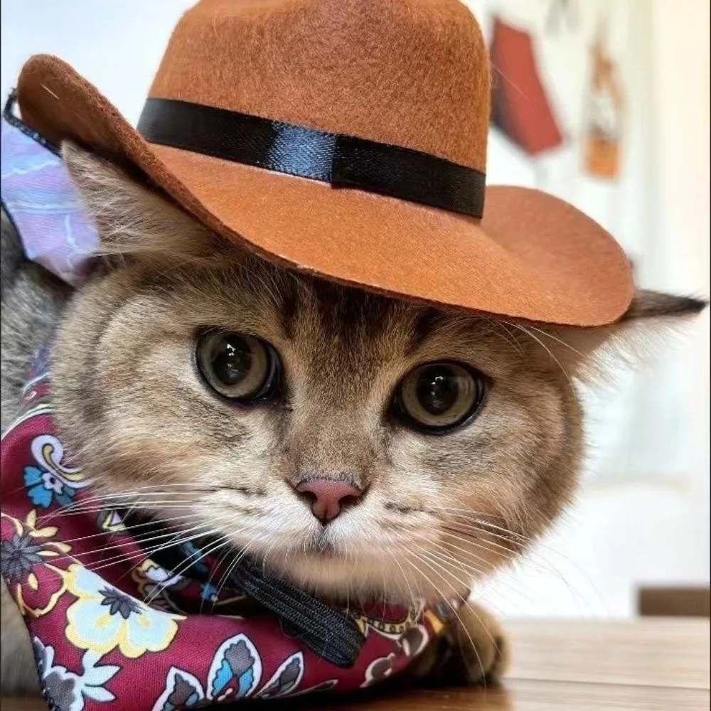 

Pet Supplies Cute Pet Western Cowboy Hat Set Adjustable Breathable Cats Triangle Scarf Comfortable Pet Costume Holiday Costume