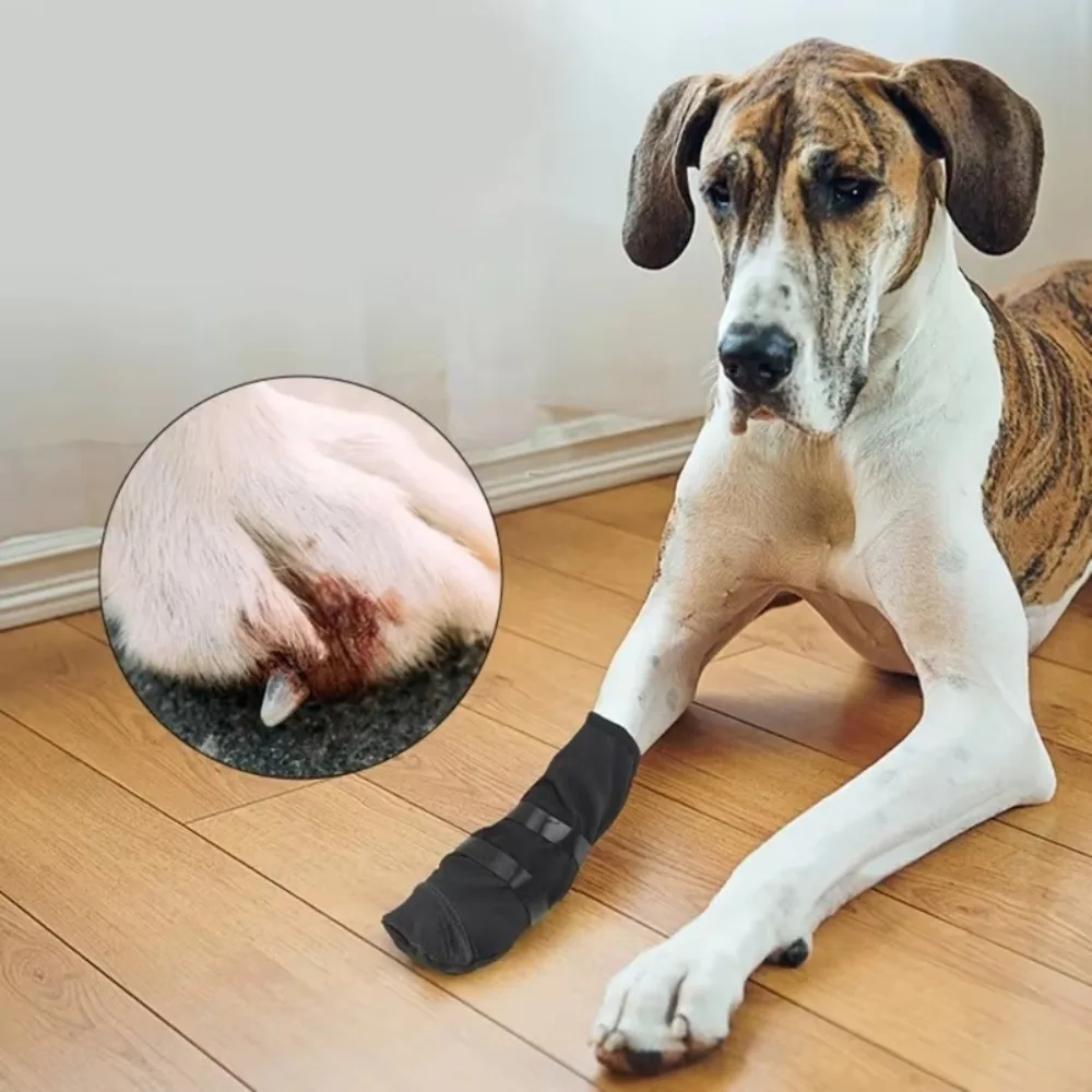 #28 New Dog Boots Arrivals