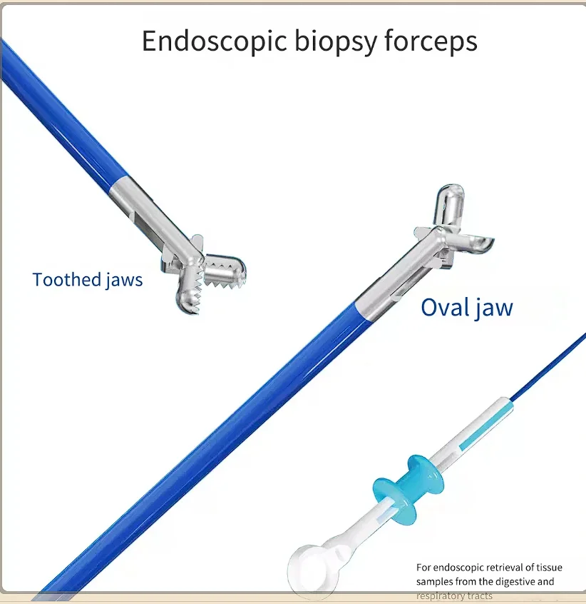 

DISPOSABLE ENDOSCOPE SAMPLING FORCEPS, Digestive Endoscopy Diagnosis Accessories