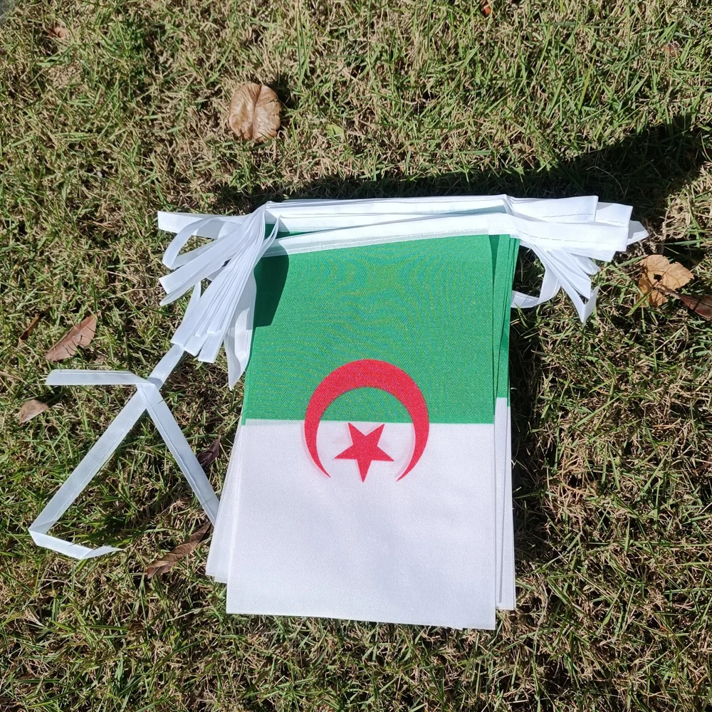 Aerlxemrbrae 14x21cm 20pcs/lot Algeria Flag Bunting Algeria Flag National String Pennant Banner for Festival Party Decorat