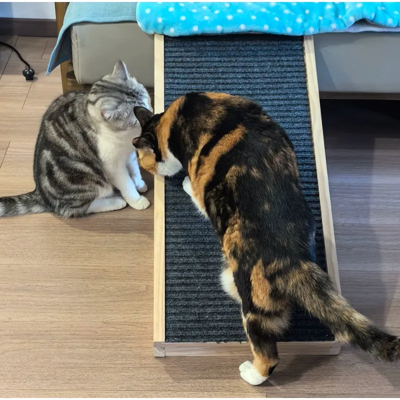 

Foldable Pet Stairs for Dogs & Cats Ramp Steps for Senior Small Dogs Non-Slip Carpeted Climbing Aid for Bed Portable Pets Ladder