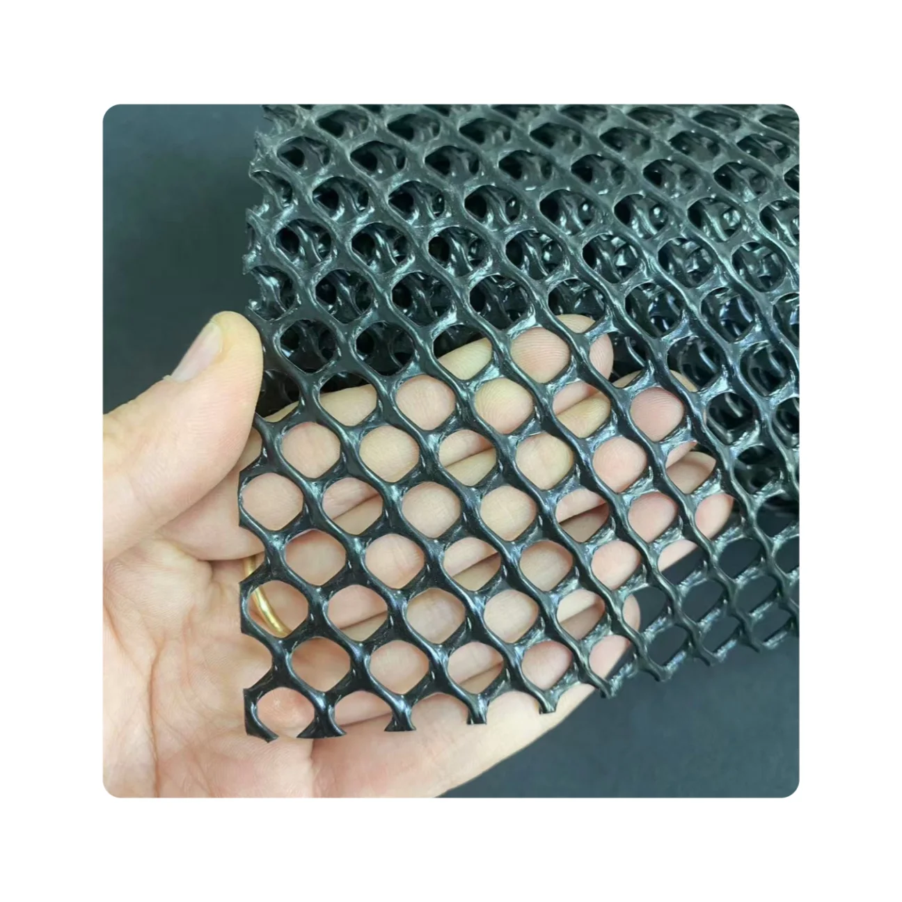 

1.8cm Hole Poultry Breeding Netting Chicken Net and Garden Netting