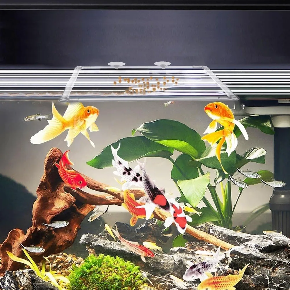 Aquarium Floating Plant Corral for Acrylic Fish Tanks and Outdoor Ponds to Contain Live Floating Plants and Create Feeding Zones