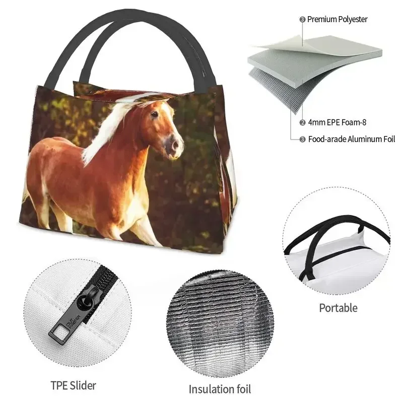 حقائب غداء معزولة حراريًا من Haflinger Horse للنساء، حاوية قابلة لإعادة الاستخدام للتخييم والسفر، صندوق طعام متعدد الوظائف للوجبات
