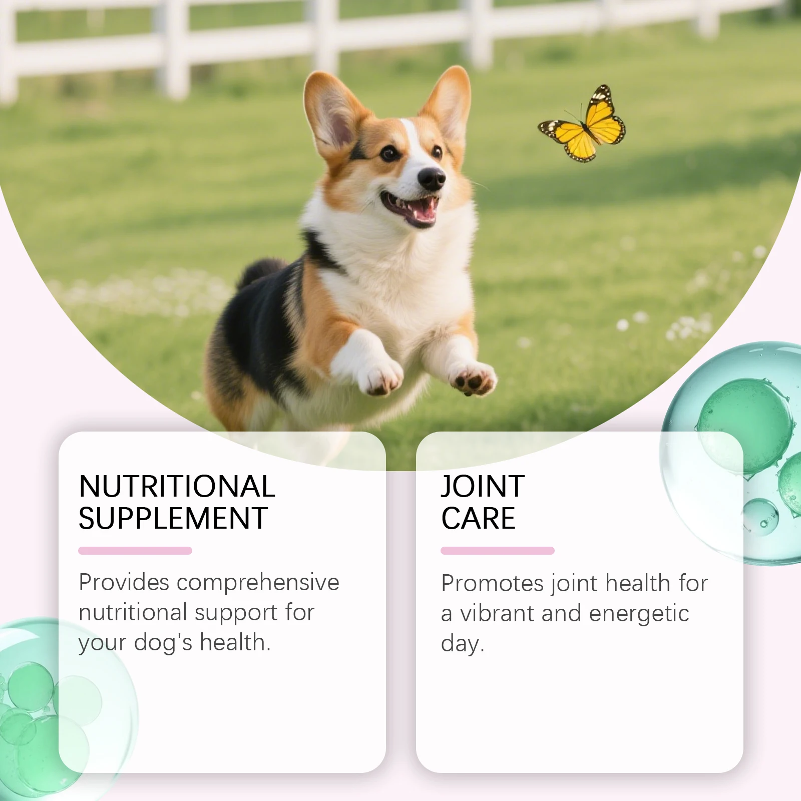 Gocce di Collagene per Cani -  - Hair Care Collagen recensione e prezzo