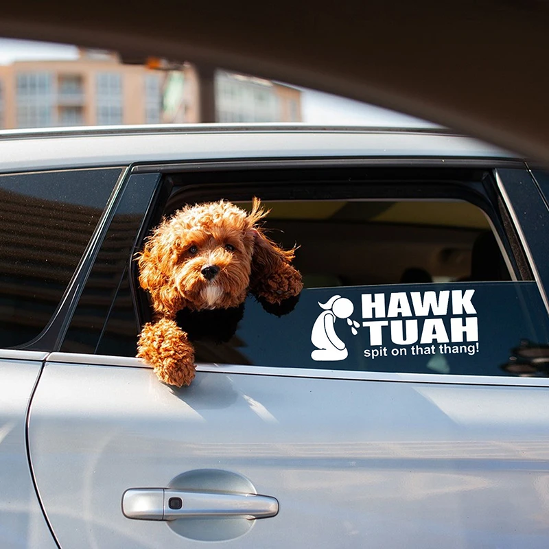 Hawk Tuah That Thang 데칼, 재미있는 바이러스 소녀 밈 비닐 스티커, 자동차, 트럭, 상자, 노트북용 방수 자동차 스티커