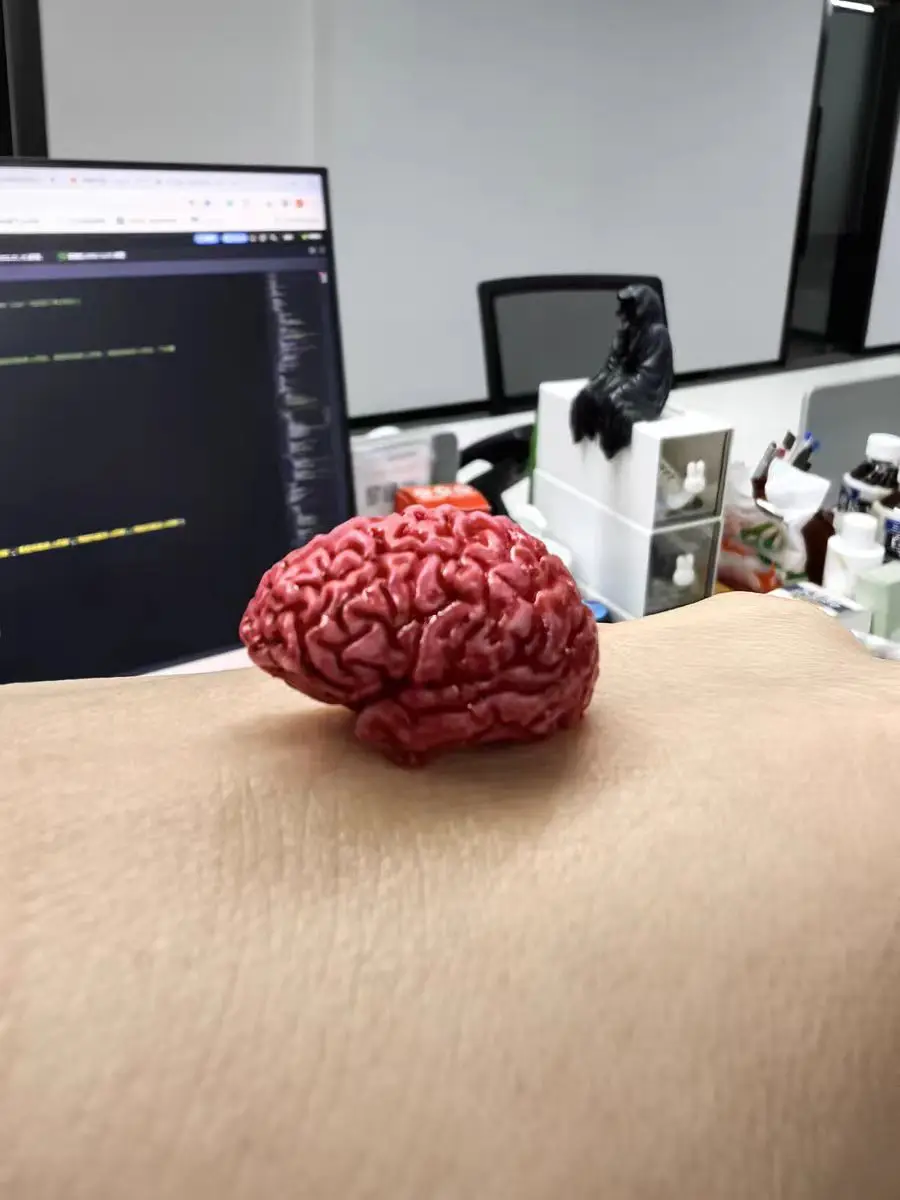 

миниатюрная модель мозга из смолы