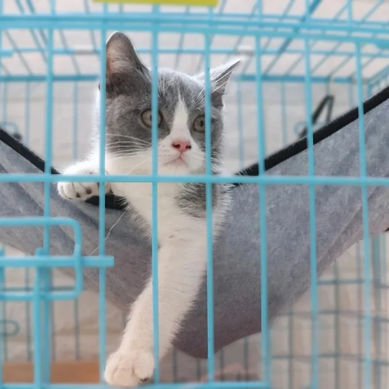 Tempat tidur gantung kucing, tempat tidur gantung kandang hewan peliharaan lembut rumah kucing bantal alas musim panas pendingin hewan peliharaan permadani aksesoris tempat tidur kucing