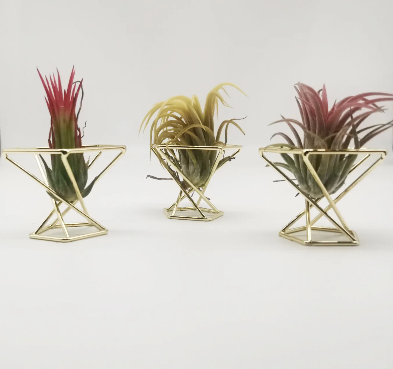 Pineapple Plants Stand Indoor Geometric Air Plant Shelves Iron Orchid Stand Beauty Egg Rack Flower Pot Stand