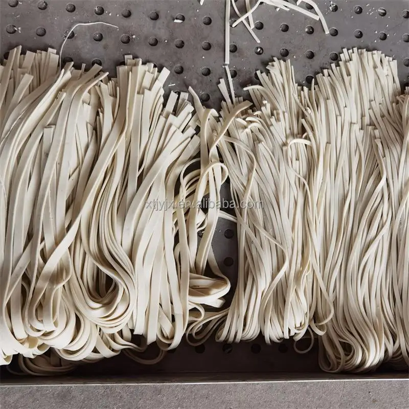 Automatic Intelligent Fresh Noodle Machine Commercial Instant Ramen Noodles Making Machine for Restaurant