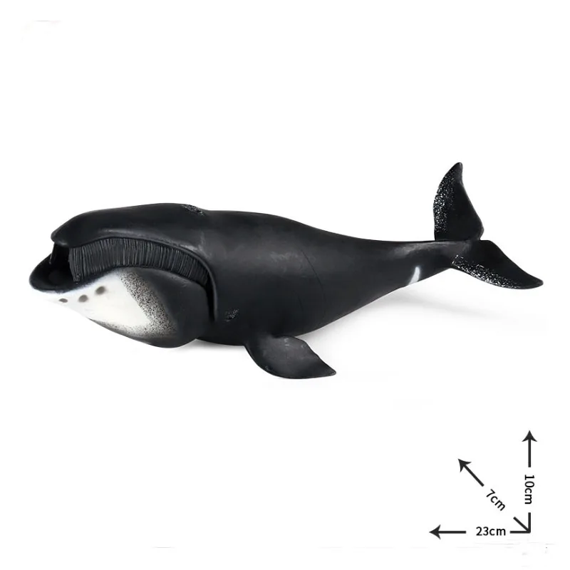 Simulation Marine Life Model Toy Bowhead Whale Shark Early Childhood Education Cognitive Doll Decoration Hand-made For Kids