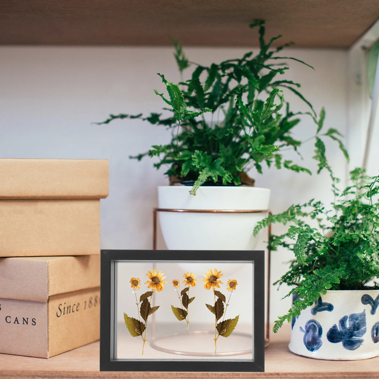 

Double-Sided Glass Display Frame Clear Photo Case for Dried Flower Frame Pressed Flower Display Stand Frames for Pressed Flowers