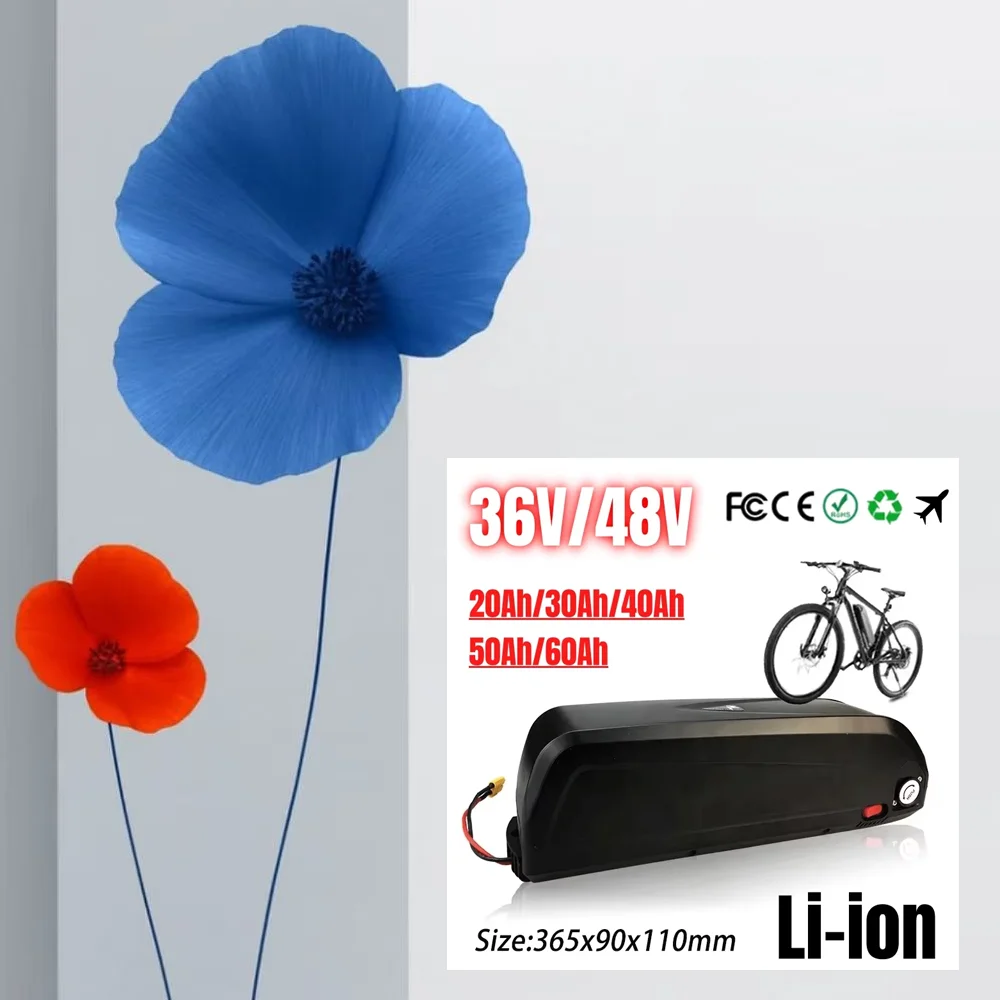 Lithium Hailong 36V 40Ah/48V 50Ah Battery | Suitable for Octagonal BBS02/BBS03 Motors