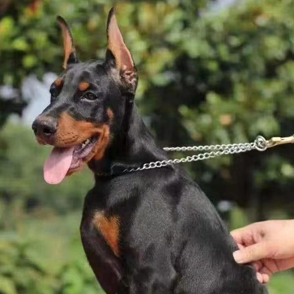 

1 Pair Dog Ear Stickers Standing Up Auxiliary Big Doberman Puppy Posting Kit Adhesive Free Comfortable Dog Ear Protection Tool