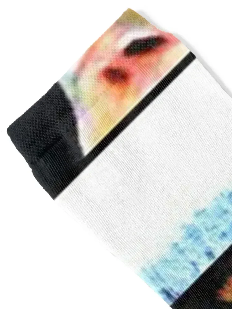 W A L L R A D Socks golf hiking FASHION anti slip football Socks Men Women's